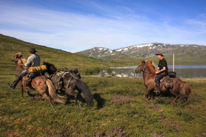 Foto: Bente Haarstad.